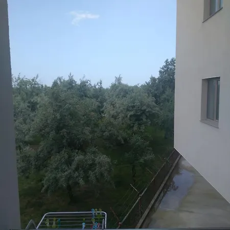Duly Mamaia